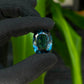 TOPACIO BLUE LONDON CORTE CUSHION 36.07 CT