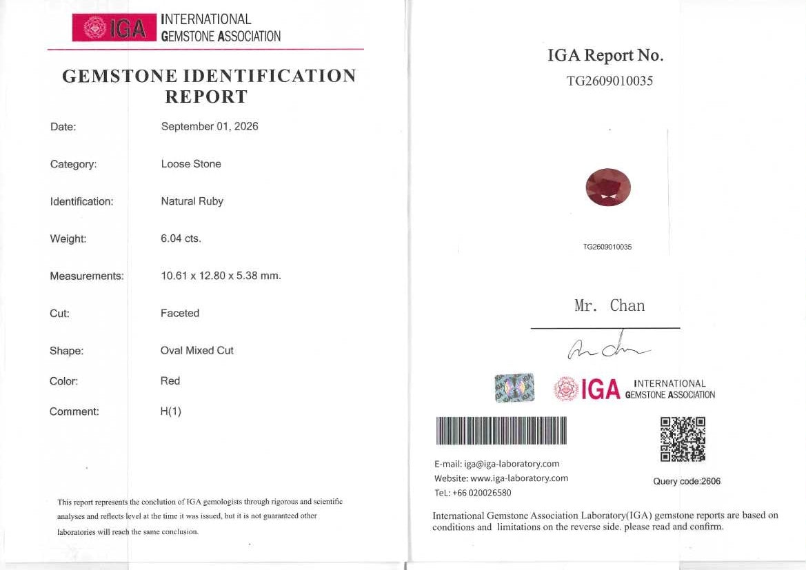 RUBY IGA OVAL 6.04 CTS  10.61 X 12.80 X 5.38 MM