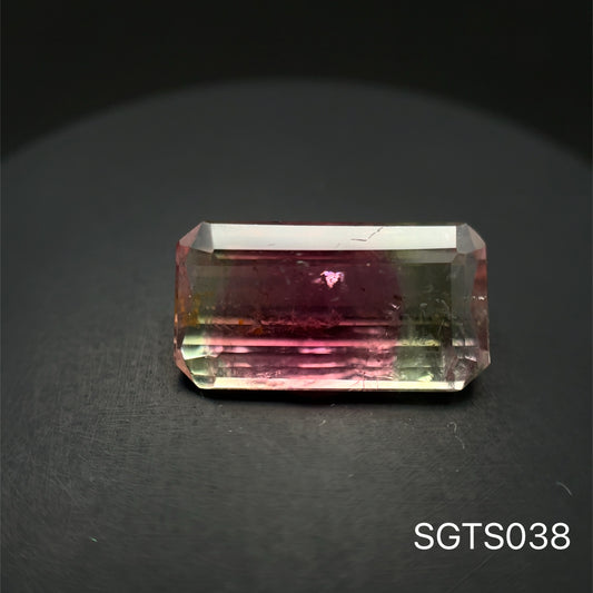 TURMALINA BICOLOR  7.73 CT 16.89 X 9 MM
