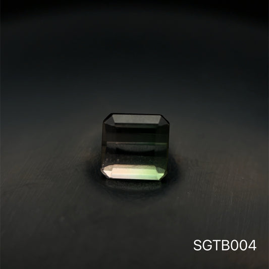 TURMALINA BICOLOR 1.555 CTS 5.66X 5.77 MM