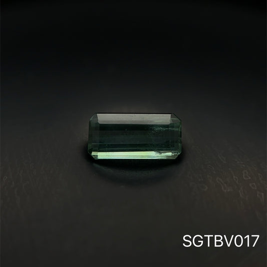 TURMALINA BICOLOR 0.845 CTS    CTS 4.10 X 8.12  MM