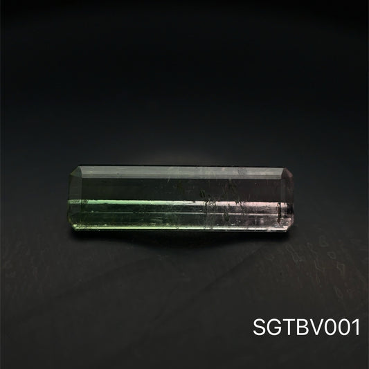 TURMALINA BICOLOR 1.760 CTS 4.48 X 15.01  MM