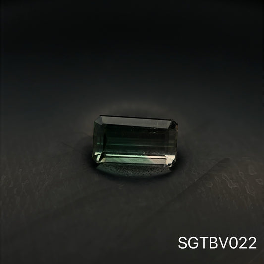 TURMALINA BICOLOR .920 CT/ 4.01 X 6.95 MM