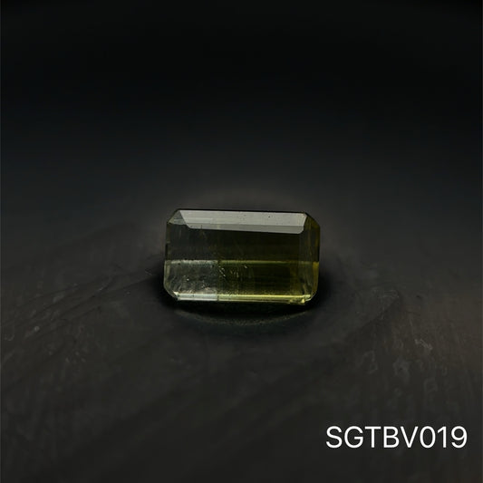 TURMALINA BICOLOR 0.775 CTS 4.25 X 7.07 MM