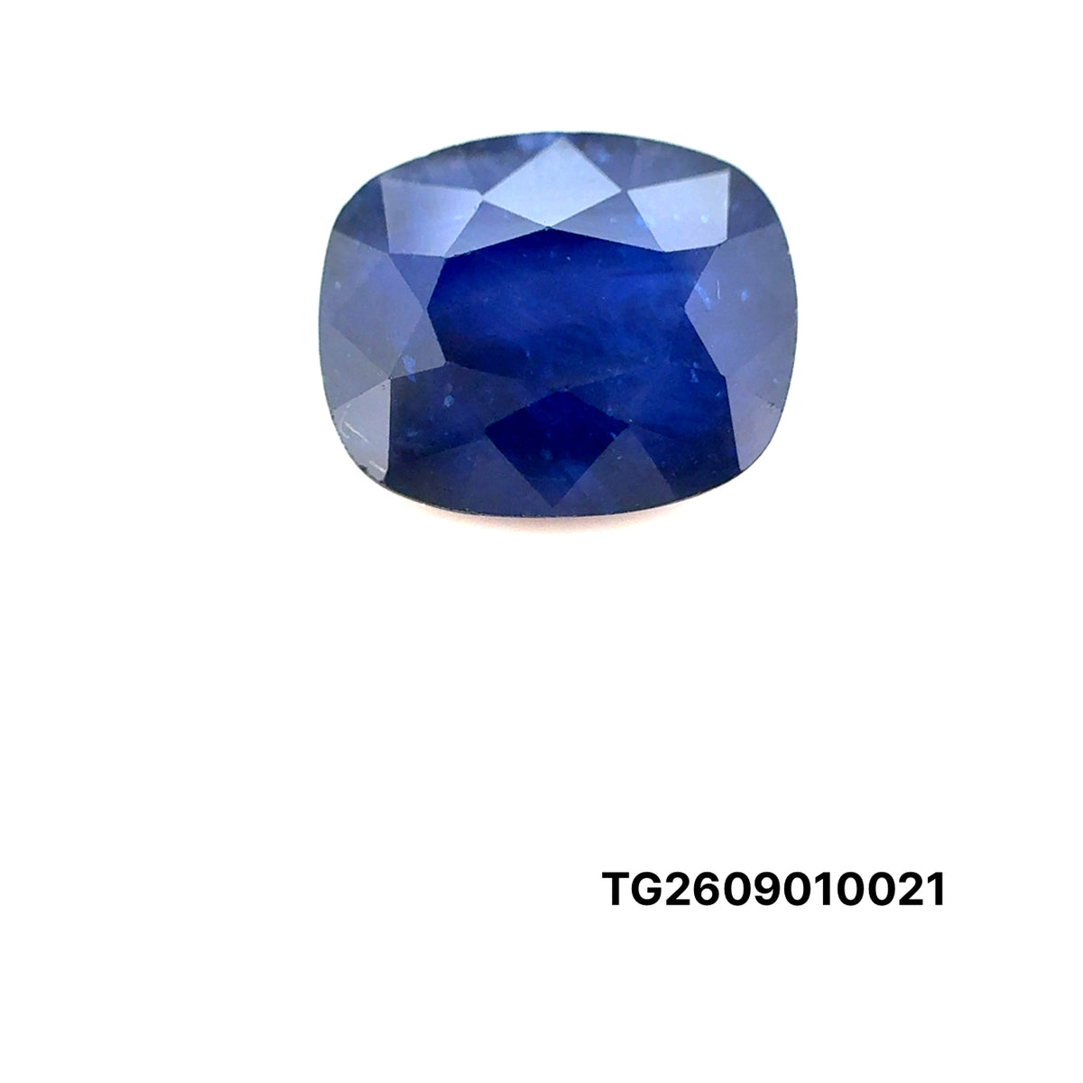 ZAFIRO IGA CUSHION 8.25 CTS 9.91 X 12.22 X 7.58 MM